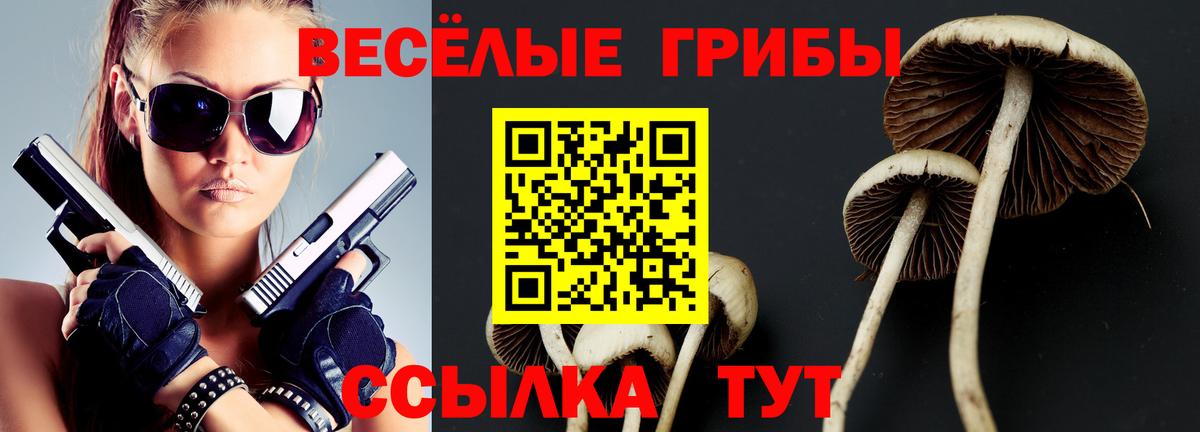 Галлюциногенные грибы мухоморы Рязань